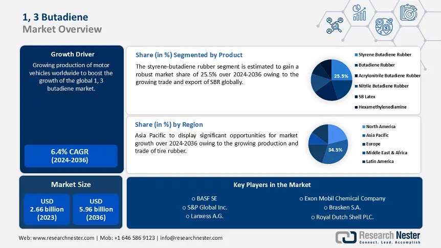 1 3 Butadiene Market Share